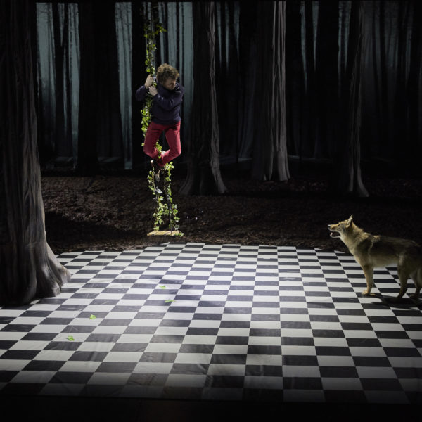 Le Bruit des Loups